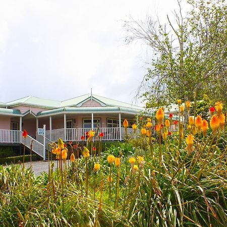 לינה וארוחת בוקר Matakohe House מראה חיצוני תמונה
